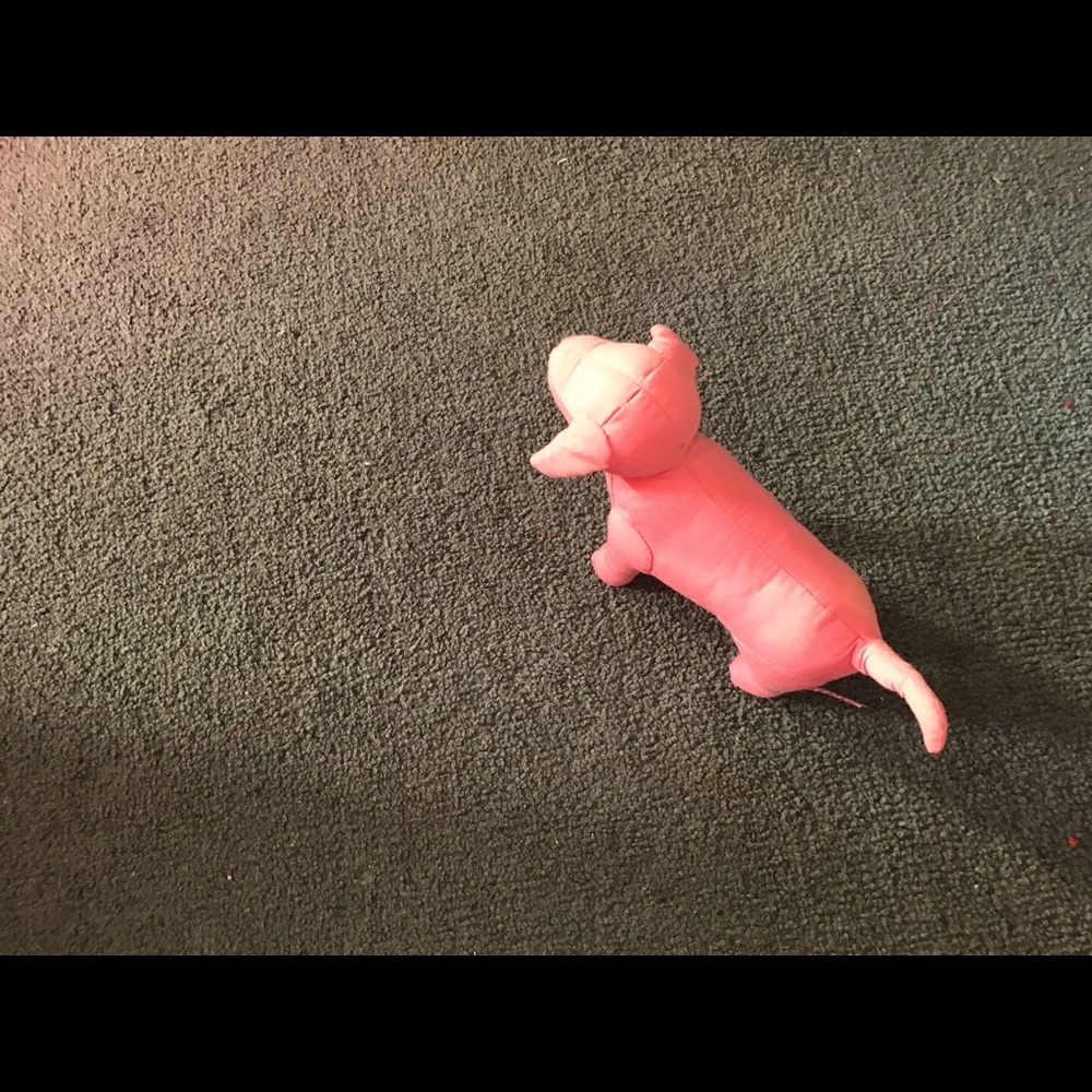 Pink mini dog